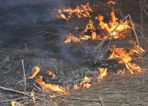 После обстрела боевиков возле Марьинки начался крупный пожар: огонь дошел до жилых домов (фото)