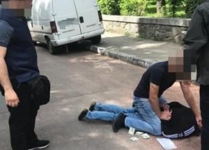 В Житомирской области на взятке в тысячу долларов задержали эколога