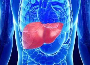 Медики назвали симптомы больной печени
