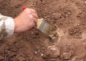 Ученые нашли в Пещере летучих мышей следы древней загадочной цивилизации