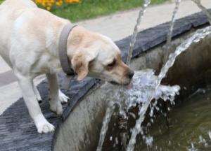 ​Украина возвращается к июльской норме температуры