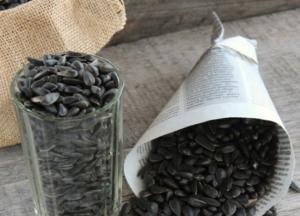 Медики рассказали, к чему приводит частое употребление семечек 