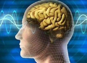 Медики рассказали, как стресс влияет на здоровье мозга