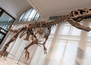 Ученые установили причину гибели динозавров