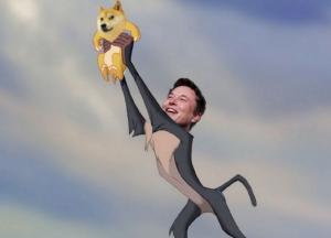 SpaceX будет принимать dogecoin для финансирования полета на Луну