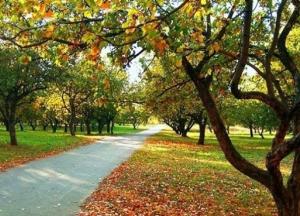 Какой будет погода в сентябре: синоптики дали прогноз