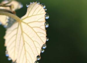 Прогноз погоды на 17 августа: будет прохладно