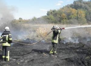 На Луганщине потушен крупнейший очаг пожаров