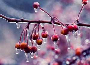 Прогноз погоды на 10 декабря: в Украине местами потеплеет до +11 градусов