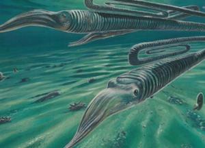 Найден живший веками древний организм