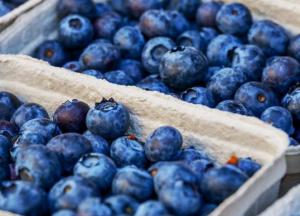 Медики назвали неожиданную пользу черники для здоровья