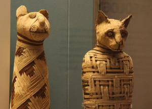 Ученые нашли мумию с пятью ногами