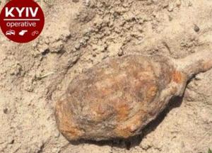 В Киеве на детской площадке нашли гранату (фото)