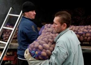 Украина вошла в топ-3 мировых лидеров по картофелю