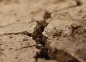 Ученые заявили о расколе Северной Америки пополам 