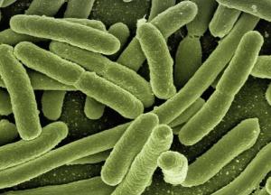 Медики рассказали, как снизить риск рака толстой кишки