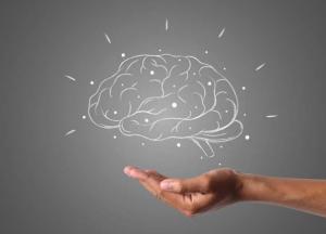 Медики назвали три продукта для улучшения работы мозга