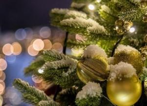 "Главное выжить": наступающий Новый год 2021 высмеяли меткими фотожабами