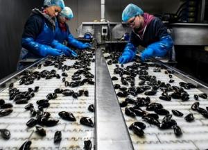 Эксперты назвали профессии с самым высоким риском смерти от коронавируса