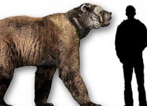 В Антарктиде нашли останки доисторического медведя, жившего 100 тысяч лет назад (фото)