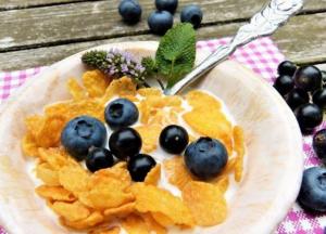 Ученые назвали опасную для иммунитета пищевую привычку