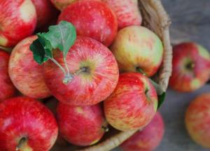 Употребление этого фрукта снизит риск инсульта: вывод ученых