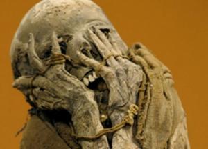 Под Николаевом в подвале дома обнаружен мумифицированный труп мужчины