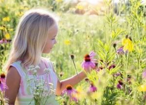 Прогноз погоды на 13 июня: невероятная жара, местами грозы