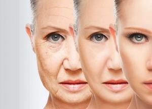 Ученые впервые омолодили клетки человека