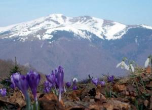 ​В Карпатском регионе от -9 °С до +11 °С