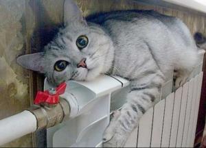 Циклон Oliver наближається: коли та де чекати удару дощу, снігу та вітру