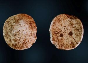 В Норвегии обнаружили древнеримскую настольную игру