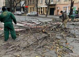 В Одессе сильный ветер валит деревья, повреждены машины (фото)