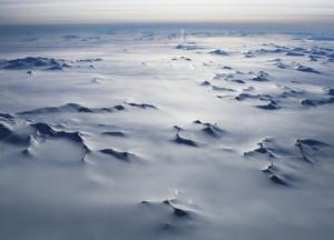 В мерзлоте Антарктиды нашли неизвестных животных