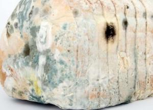 Медики назвали последствия употребления заплесневелых продуктов для здоровья