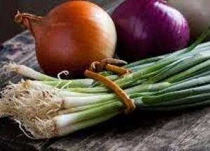 Назван эффективный овощ для укрепления костей  