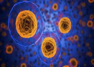 Ученые определили факторы развития онкологии