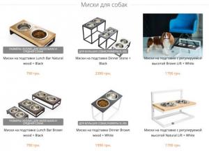 Как выбрать миску для собаки