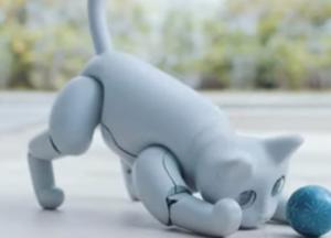 В Китае создали кошку-робота, у которой будет меняться характер (видео)