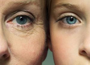 Ученые приблизились к разгадке секрета "вечной молодости"