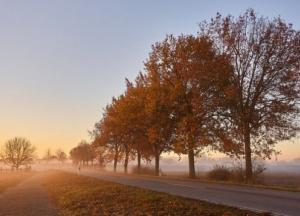 Прогноз погоды на 16 ноября: что ждет украинцев на выходных (карта)