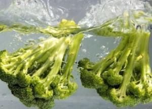 Медики назвали три самых полезных продукта для легких