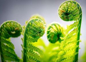 Ученые нашли объяснение появлению жизни на Земле