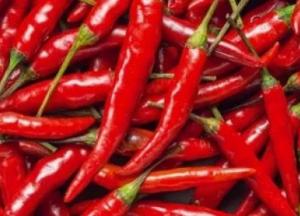 Эксперты рассказали, как ускорить обмен веществ