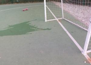 В Харькове ребенок попал в реанимацию после занятий на школьном стадионе