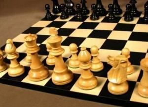 Украинский гроссмейстер победил на международном онлайн турнире