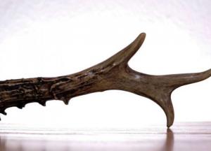 Ученые обнаружили необычные амулеты из человеческих костей (фото)