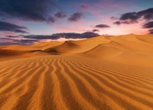 Пустыня Сахара превратится в зеленый оазис – прогноз ученых