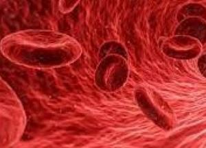 Медики предупредили о симптомах, указывающих на сгусток крови в разных частях тела