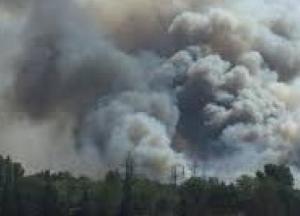 Пожар в Чернобыльской зоне: уровень радиации превысил норму (видео)